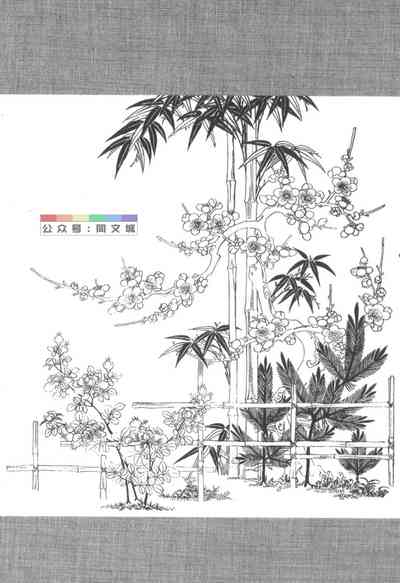 第230頁圖