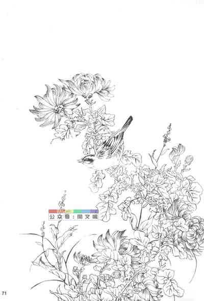 第70頁圖