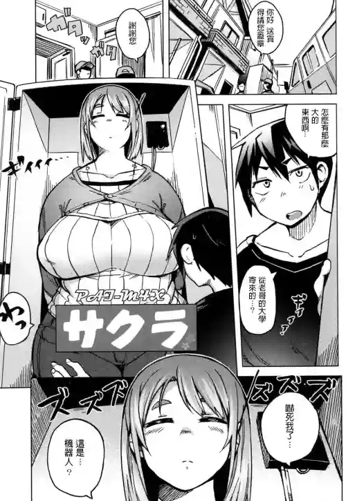 PAI-M4X サクラ图
