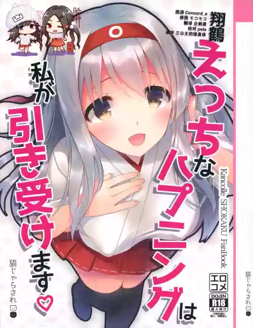 翔鶴えっちなハプニングは私が引き受けます圖