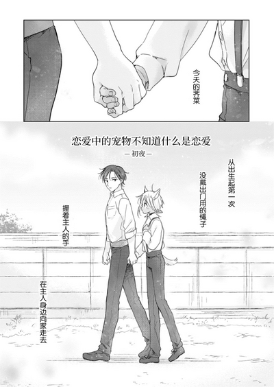 第62页图