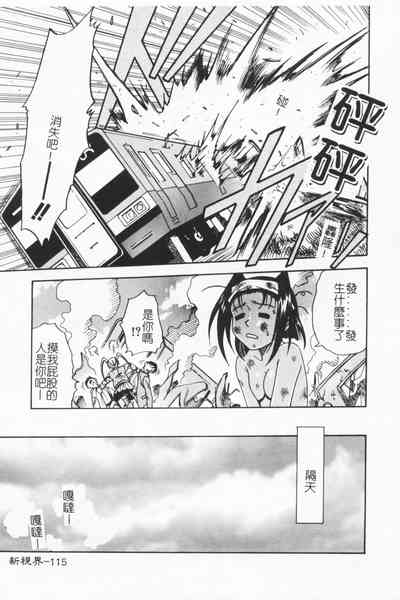 第114頁圖
