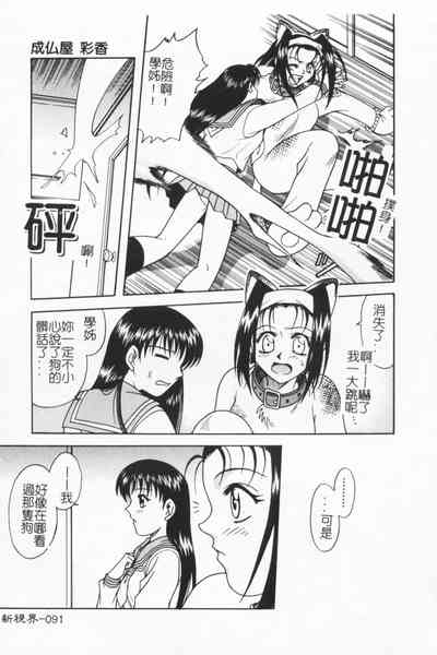 第90頁圖