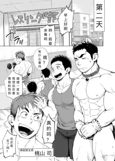第6页图
