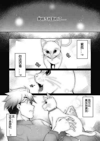 第10页图