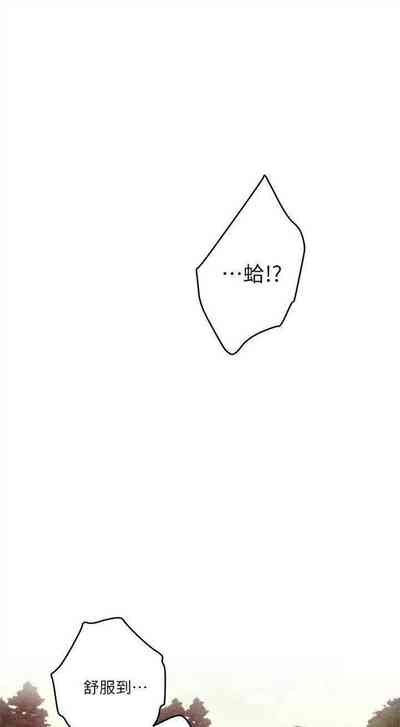 第462頁圖