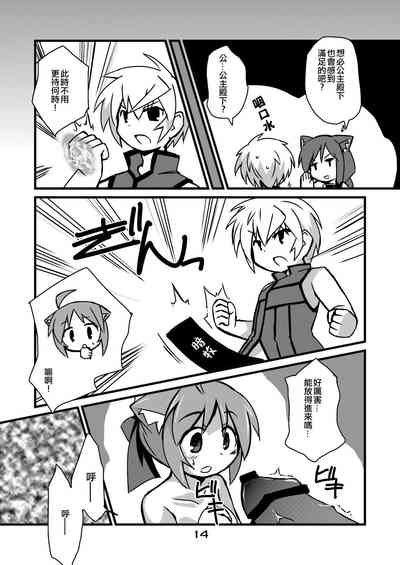 第14頁圖