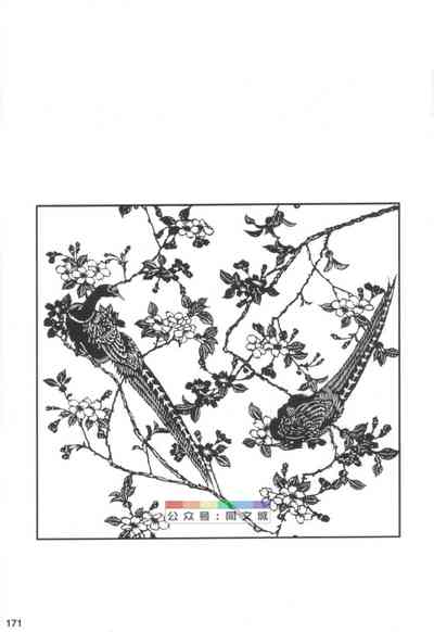 第170頁圖