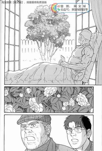 第282頁圖
