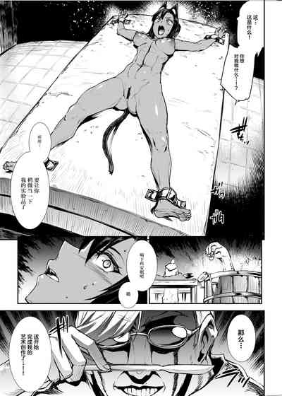 第22頁圖