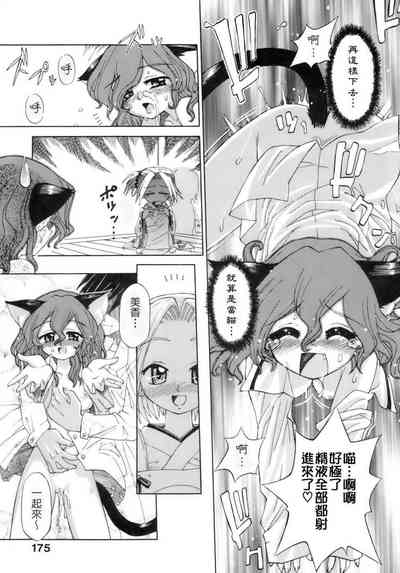 第170頁圖