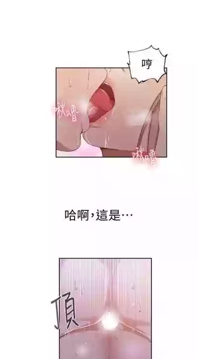 第230頁圖