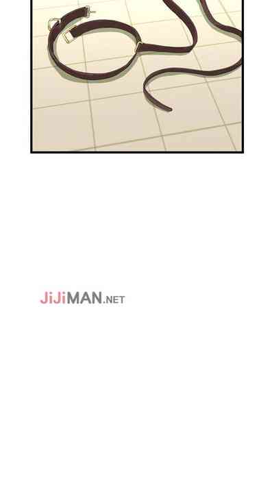 第362頁圖