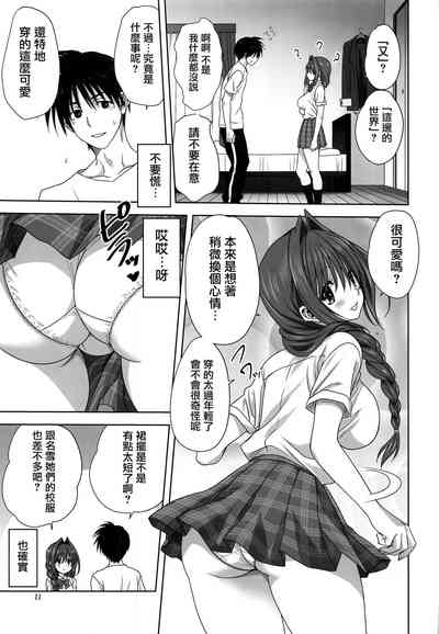 第10页图