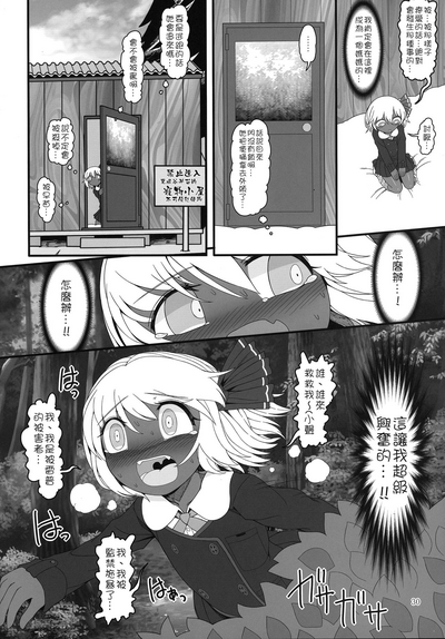 第30頁圖