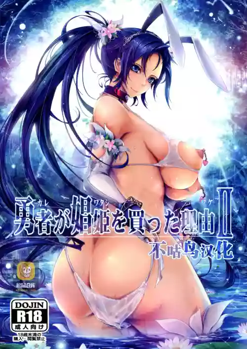 勇者が娼姫を买った理由II图
