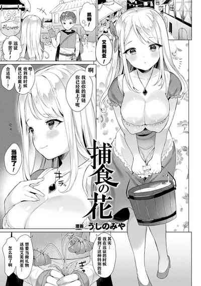 第14页图