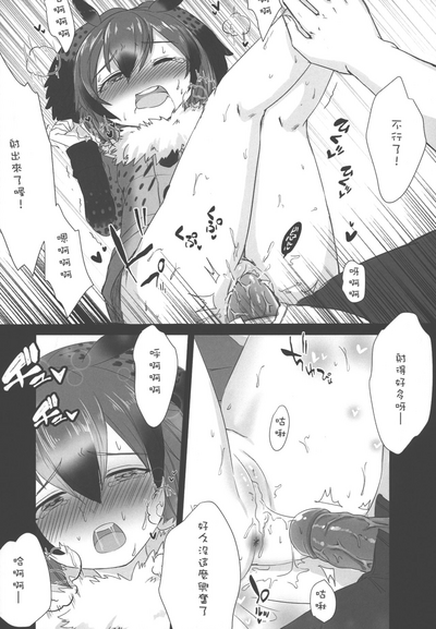 第18頁圖
