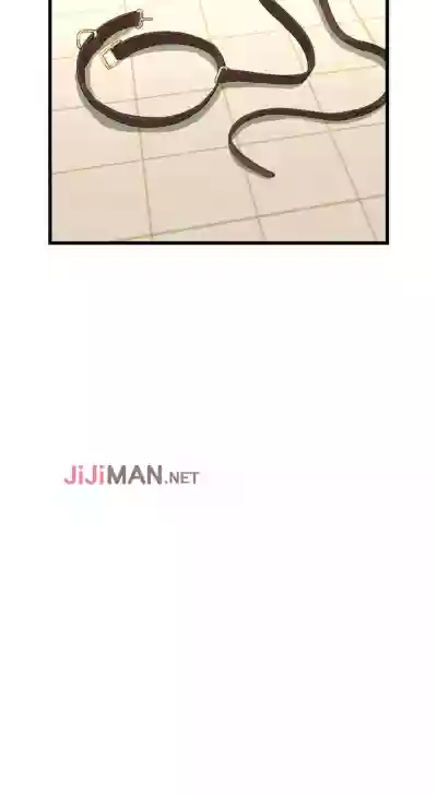 第362頁圖