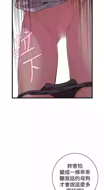 第486頁圖