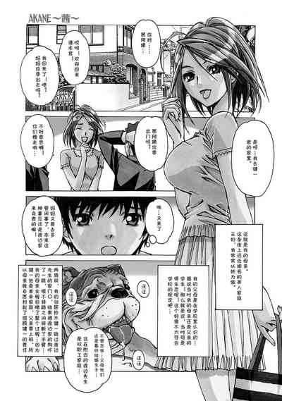 第2页图