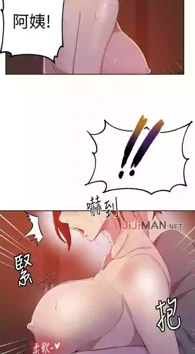 第262頁圖