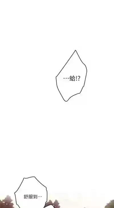 第462页图