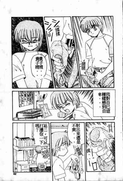 第42頁圖
