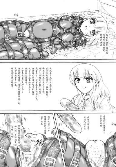 第2页图