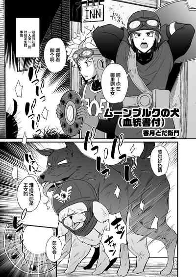 第26頁圖
