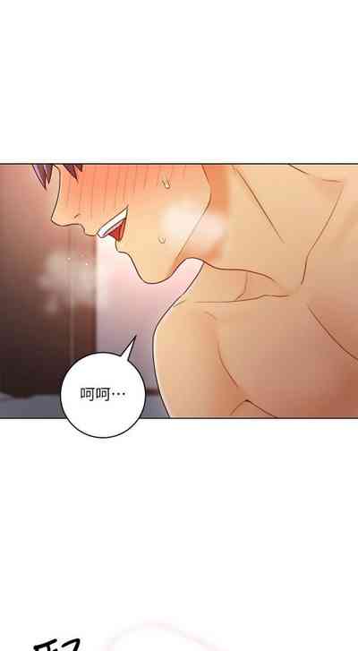 第382頁圖