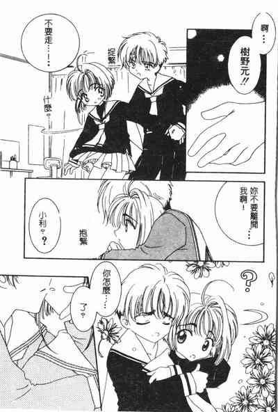 第142頁圖