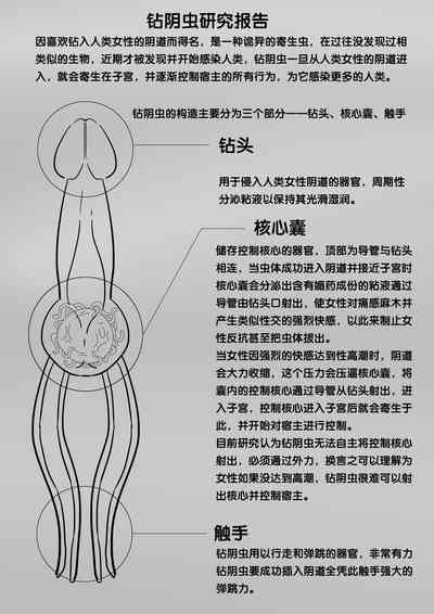 第214頁圖