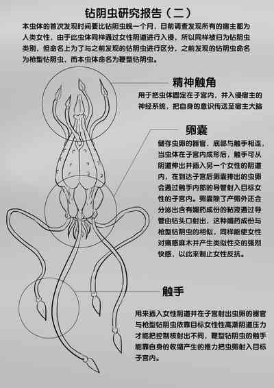 第218頁圖