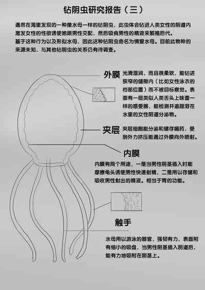 第222頁圖