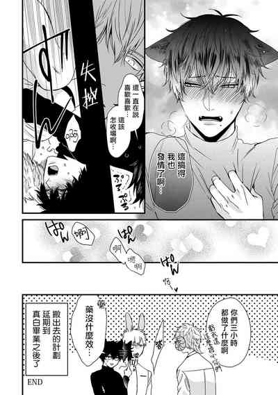 第206頁圖