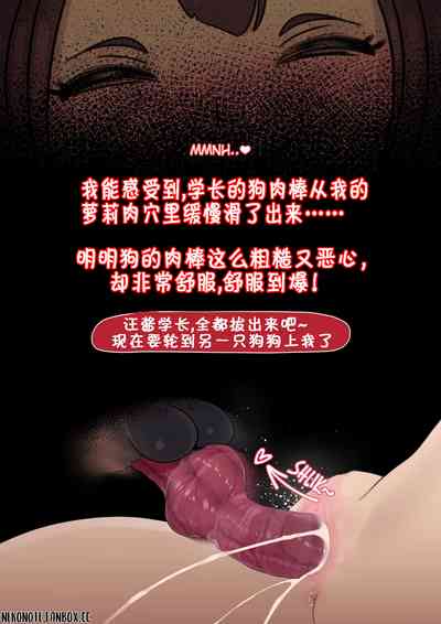 第22頁圖