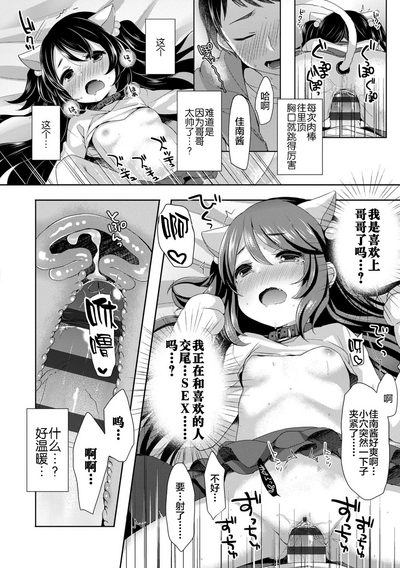 第102頁圖
