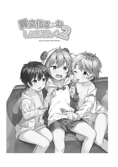 第2页图