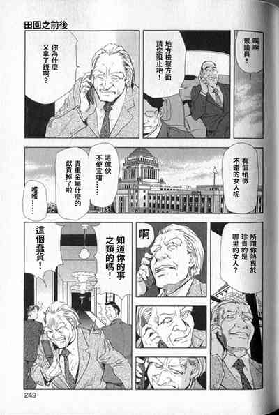 第250頁圖