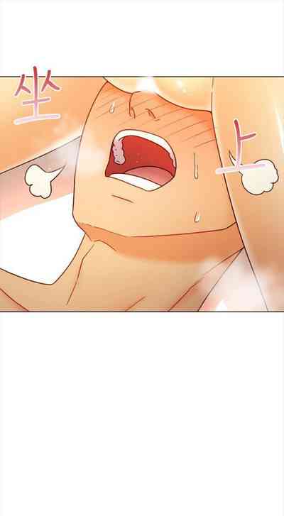 第446頁圖