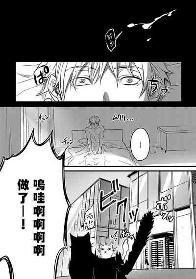 第78頁圖