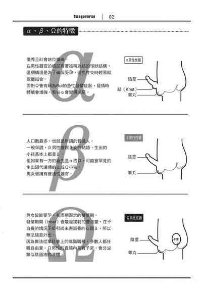 第6页图