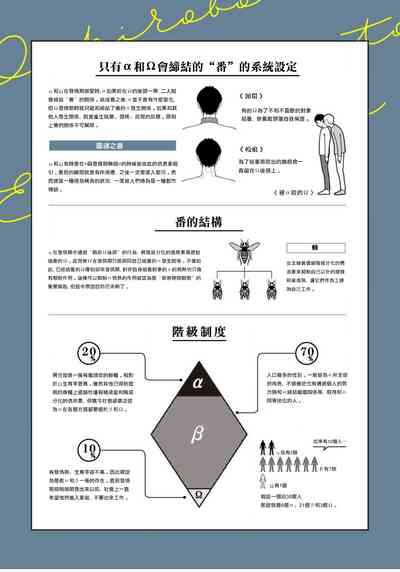 第42頁圖