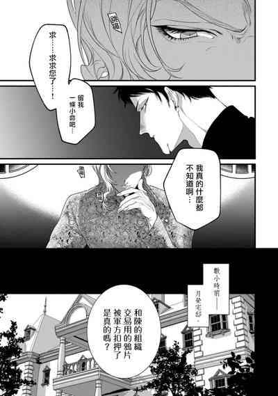第42頁圖