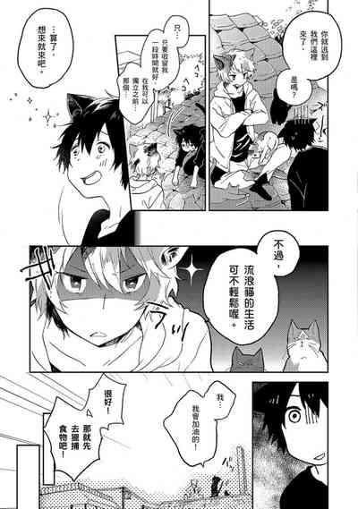 第146頁圖