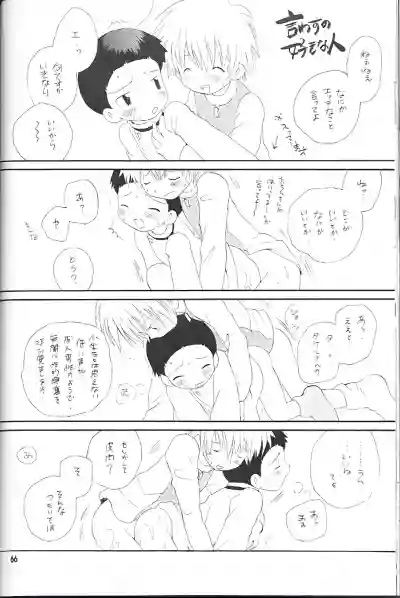 第66页图