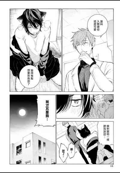 第118页图