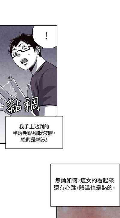 第278頁圖