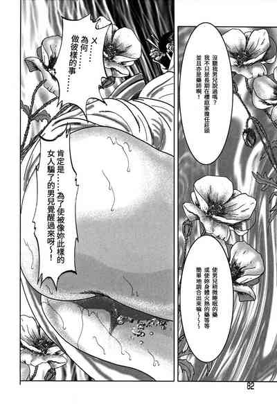 第82頁圖